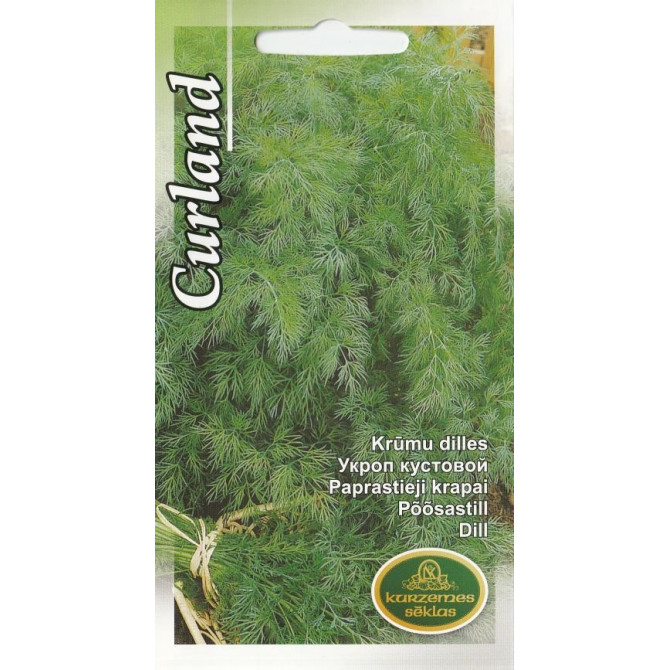 Dilles krūmu Kurland 5g