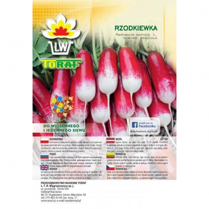 Redīsi OPOLANKA 100g