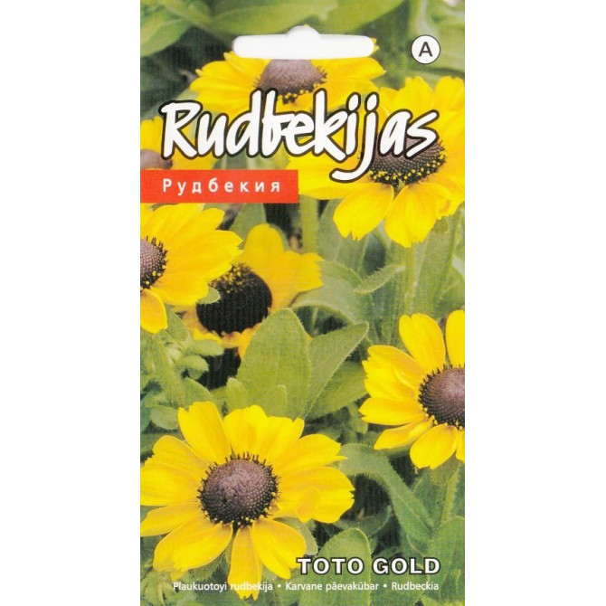 Rudbekijas Toto Gold 10 sēklas