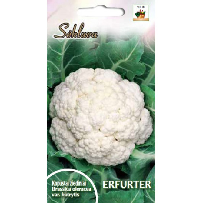 Ziedkāposti ERFURTER 1g