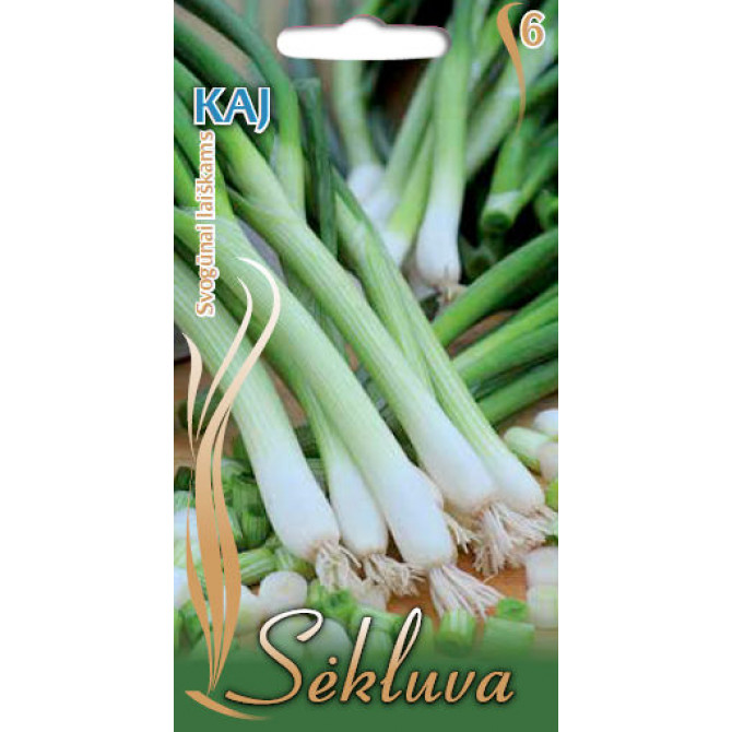 Sīpoli lielloku KAJ 2g