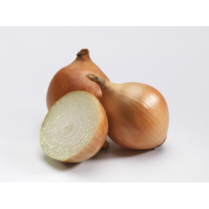 Sīksīpoli Cupido 14-21mm 10kg