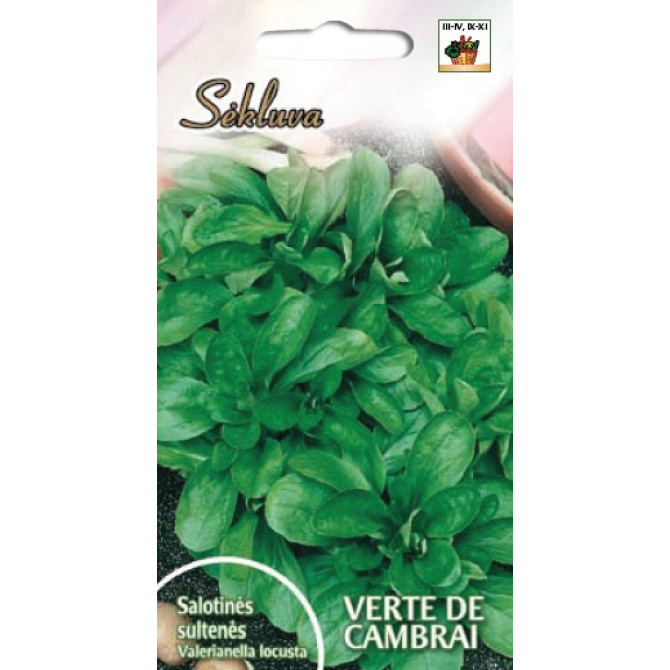 Salātu baldriņš VERTE DE CAMBRAI 5g