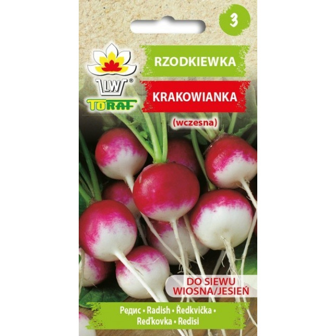 Redīsi apaļie Krakowianka 10g