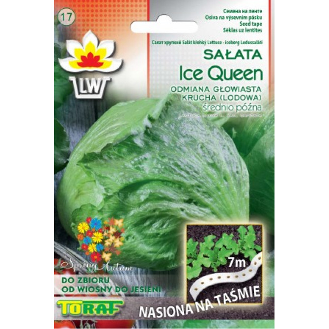 Salāti Ledussalāti ICE QUEEN uz lentes 7m