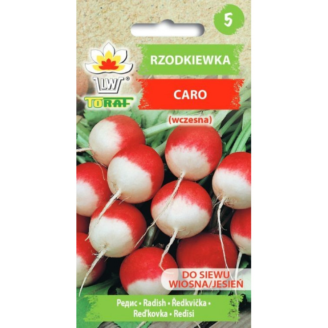 Redīsi apaļie Caro 10g