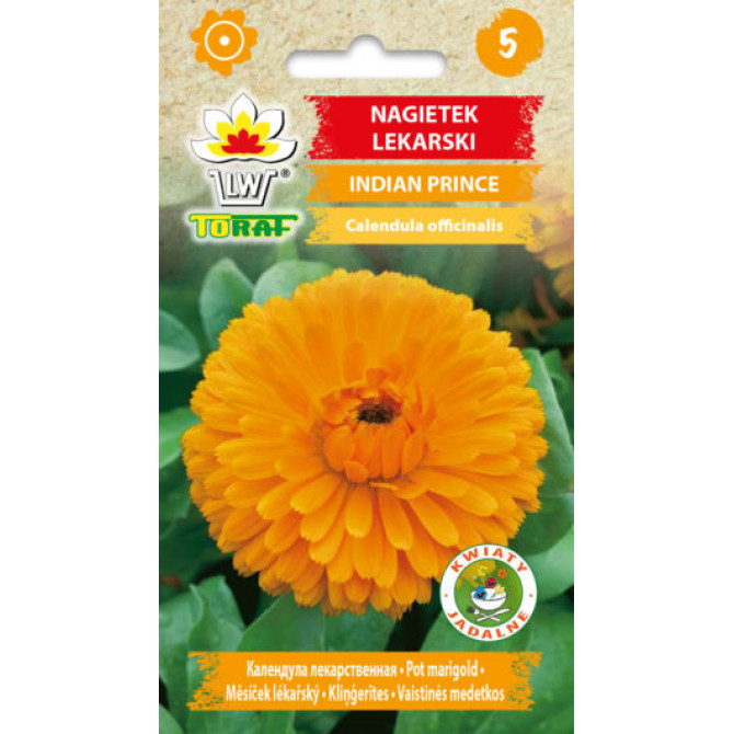 Kliņģerītes Indian Prince 1g