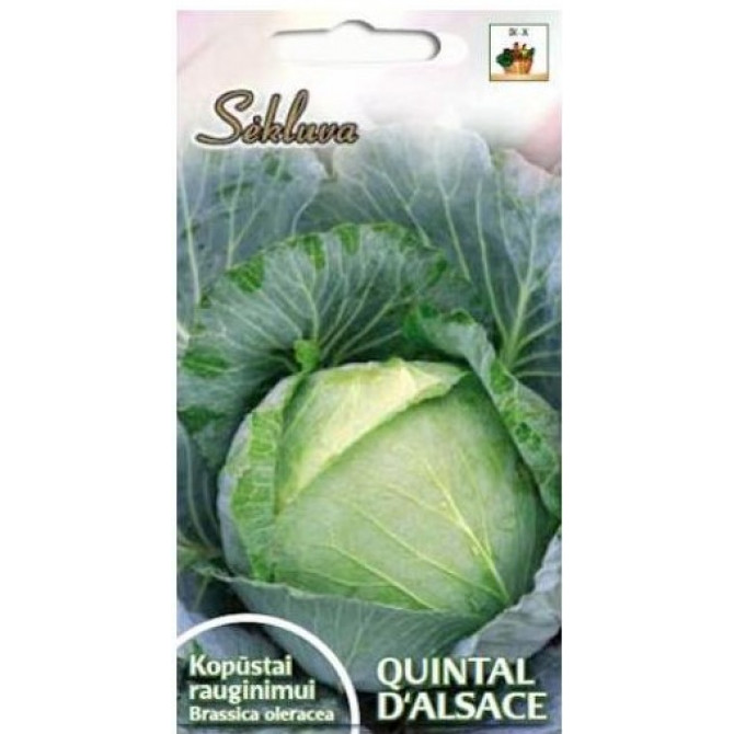 Kāposti QUINTAL D`ALSACE 3g