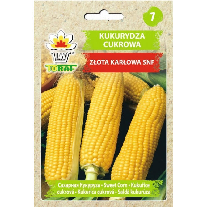 Kukurūza saldā Zlota Karlowa 20g