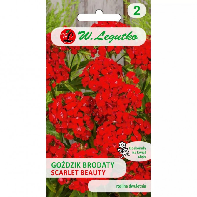 Neļķes studentu Scarlet Beauty 0.5g