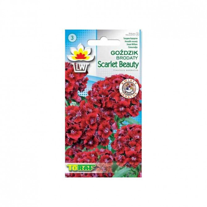 Neļķes studentu Scarlet Beauty 0.5g