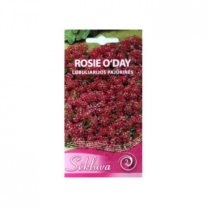 Alises ROSIE O`DAY 0.3g