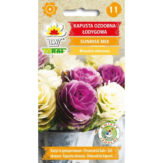 Kāposti dekoratīvie Sunrise mix 10sēklas