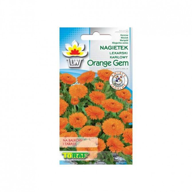 Kliņģerītes Orange Gem 1g