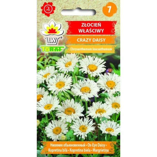 Margrietiņas daudzgadīgas pildītās Crazy Daisy 0.2g