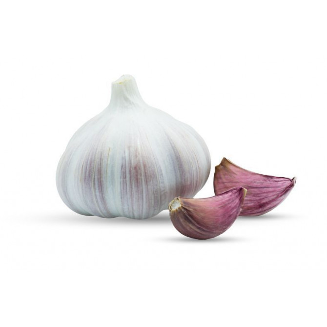 Ķiploki Morado 45-55mm (pavasara) 10kg