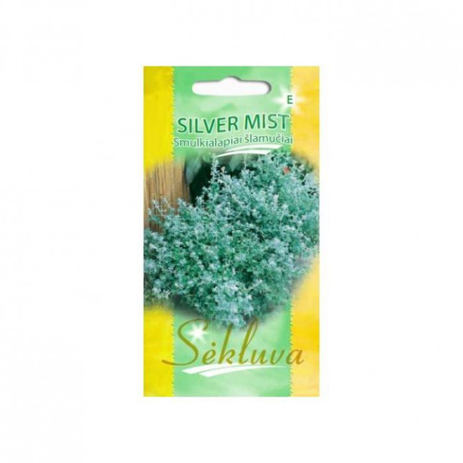 Krustaine smalklapu SILVER MIST 8 sēklas