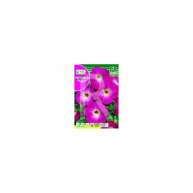 Petūnijas daudzziedu Rose du ciel 0.5g