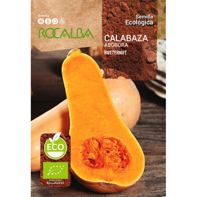 Ķirbis BIO Butternut 3g