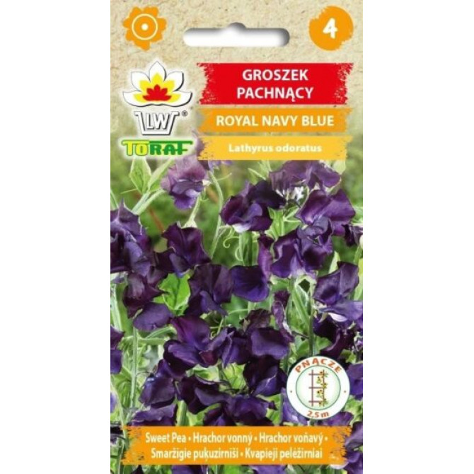 Puķu zirņi smaržīgie Royal Navy Blue 3g