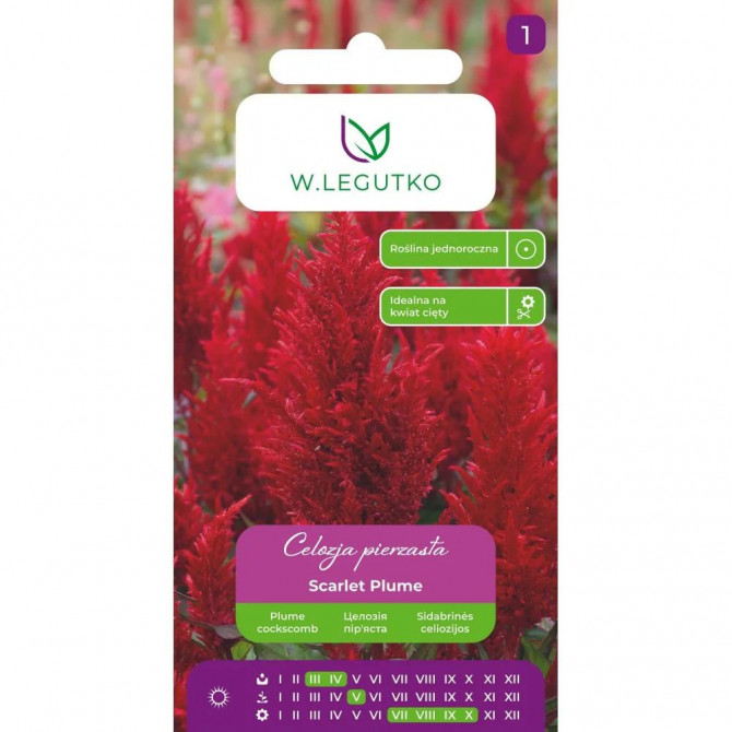 Celozija Scarlet Plume 0.3g