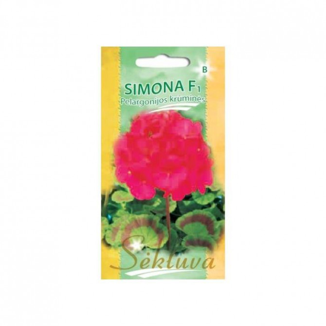 Pelargonijas zonālās SIMONA F1, 5sēklas