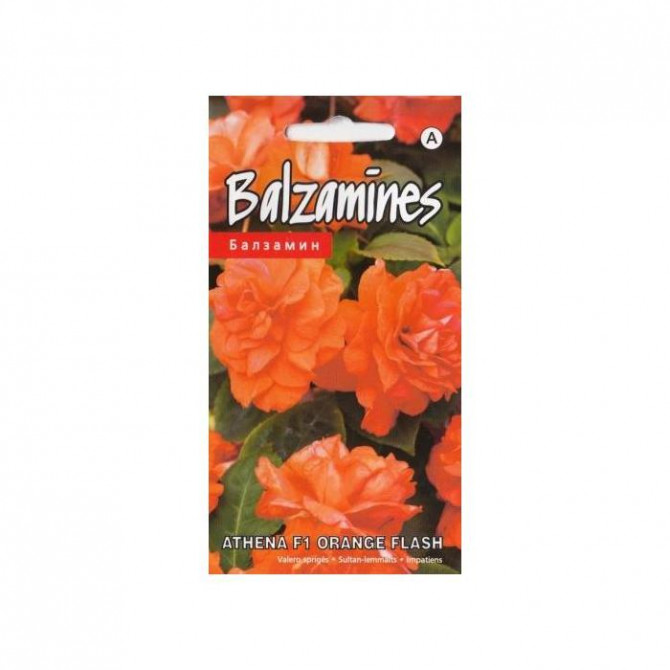 Balzamīnes Orange Flash F1 5sēklas