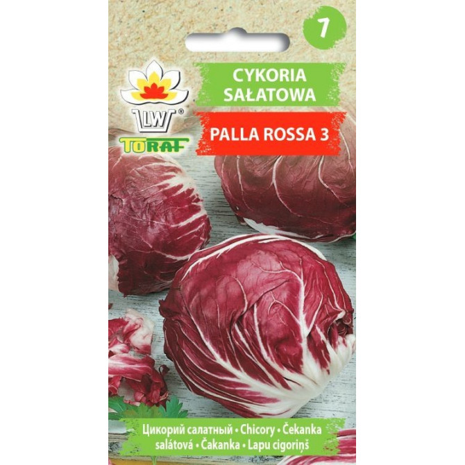 Cigoriņi lapu Palla rosa 3 