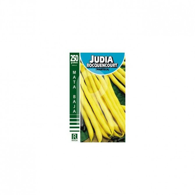 Pupiņas sparģeļu krūmu Rocquencourt 250g