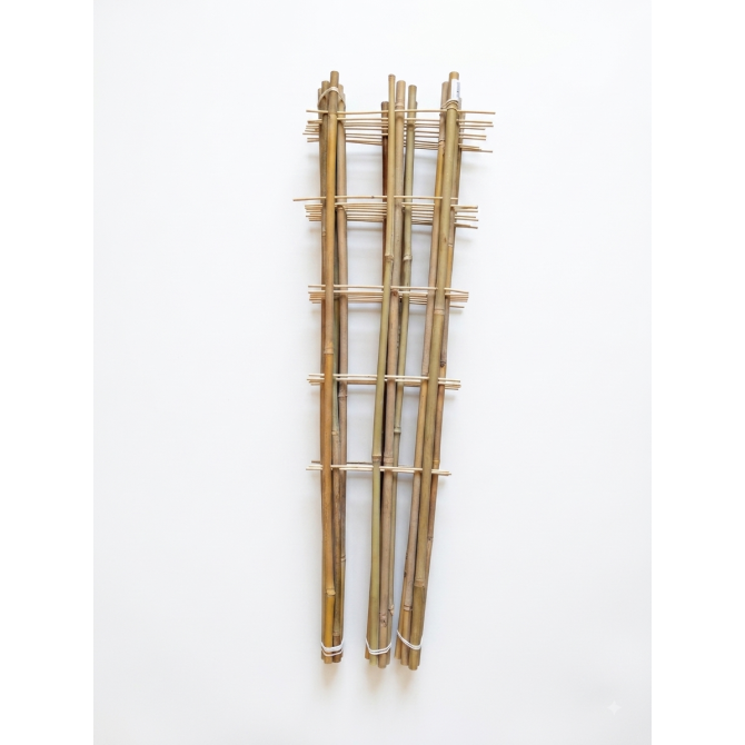 Bambusu trepītes ar trīs balstiem 90cm
