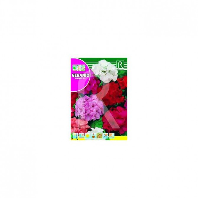 Pelargonijas zonālās maisījums 0.1g