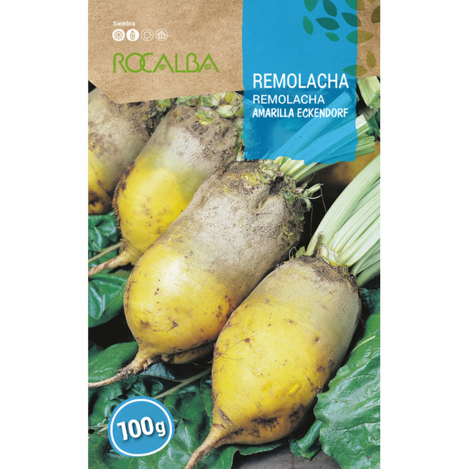 Lopbarības bietes Amarilla Eckendorf 100g
