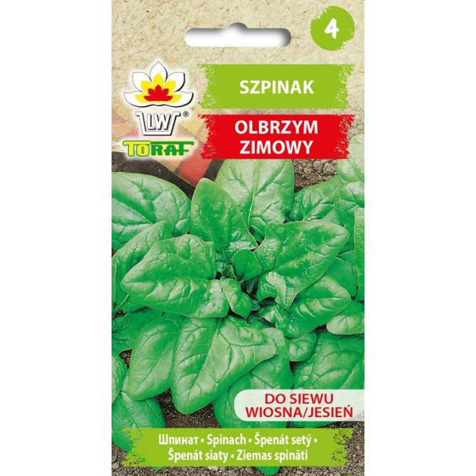 Spināti Olbrzym zimowy 10g