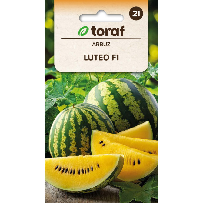 Arbūza LUTEO F1 7 sēklas