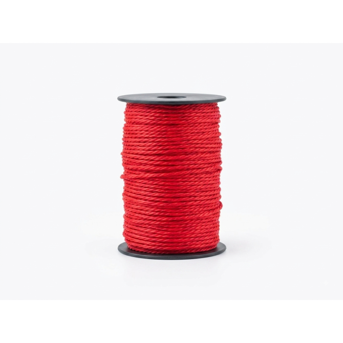 Aukla 2mm 100m sarkana