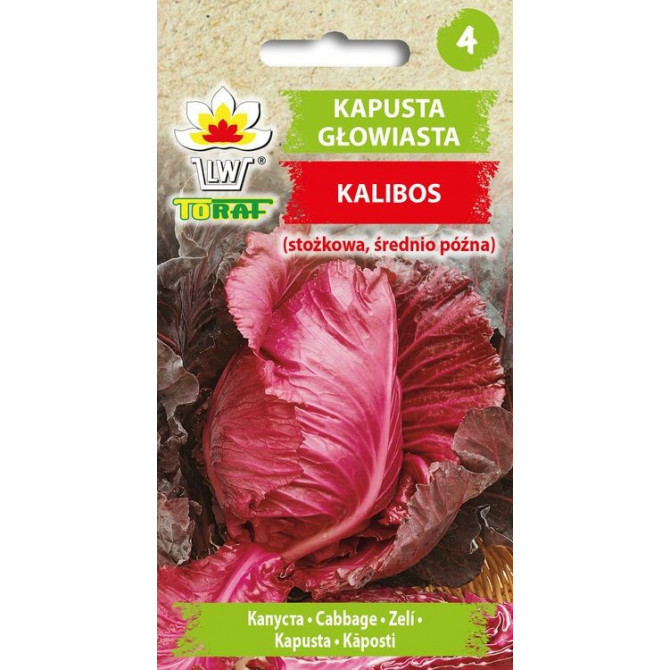 Kāposti koniskie sarkani Kalibos 1g