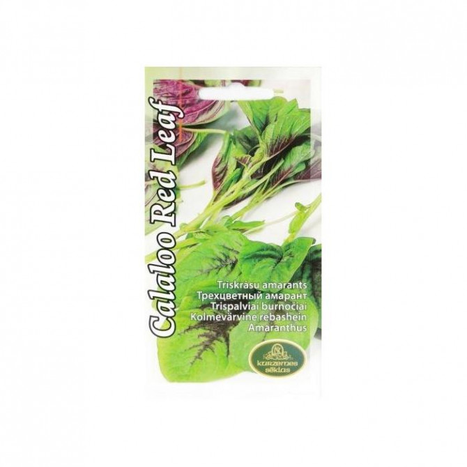 Salāti Amarants ēdamais CALALOO RED LEAF 1g