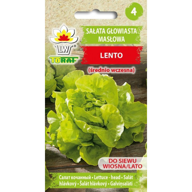 Salāti galviņsalāti  Lento 1g