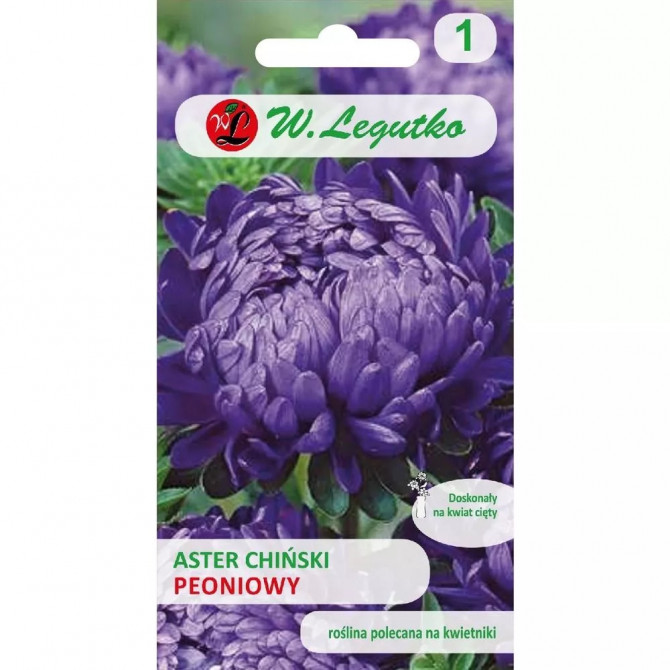 Asteres peoniju violetas 1g