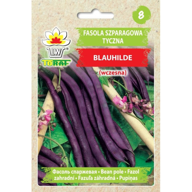 Pupiņas sparģeļu augstās violetās Blauhilde 10g