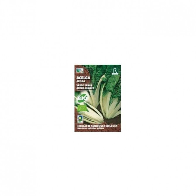 Biete lapu Mangolds (BIO) Verde penca ancha blanca 5g