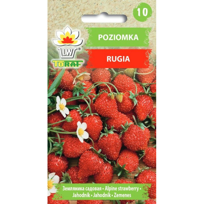 Zemenes (mēnešzemenes) Rugia 0.3g