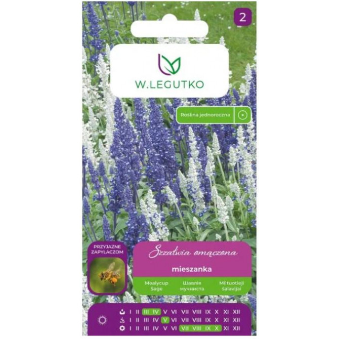 Salvija VIKTORIJA BLUE & WHITE