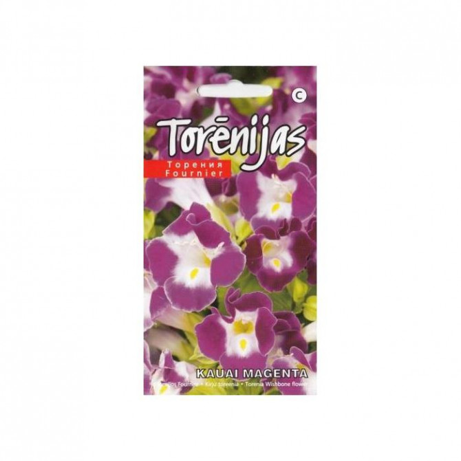 Torēnija Kauai Magenta 10sēklas