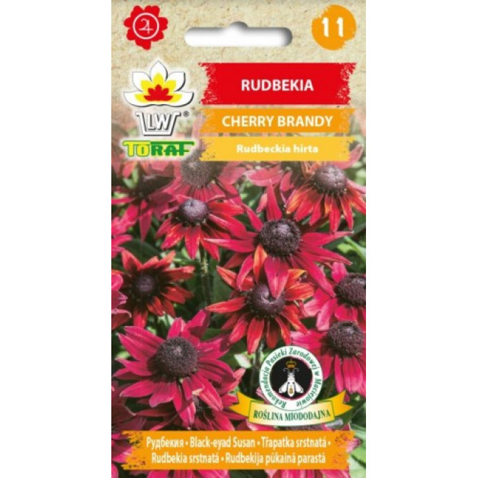 Rudbekijas Cherry Brandy 0.5g