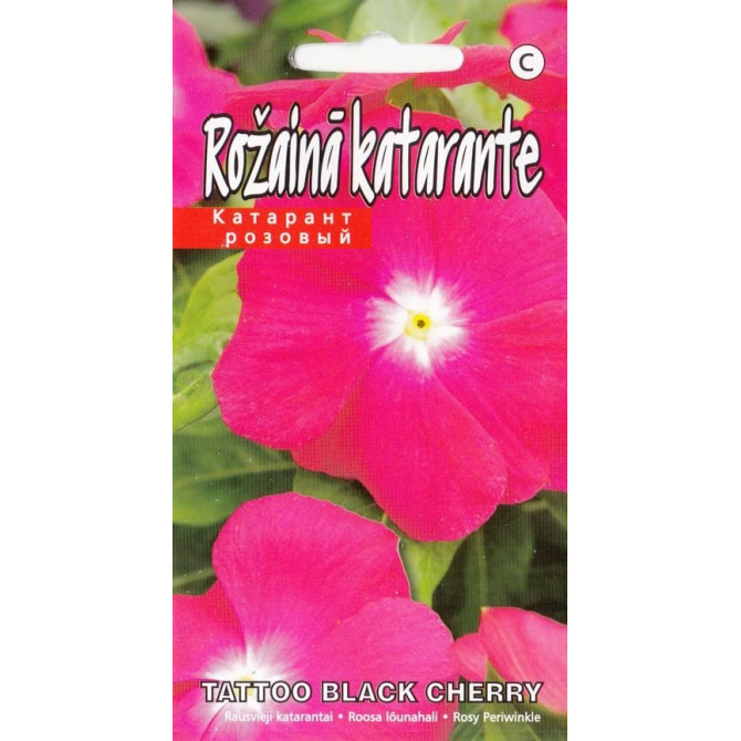 Katarante Tatto Black Cherry 10sēklas