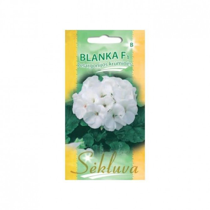 Pelargonijas zonālās BLANKA F1, 5 sēklas