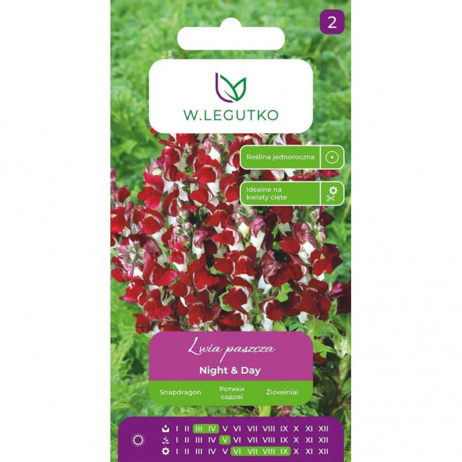 Lauvmutītes Night&Day 0.6g