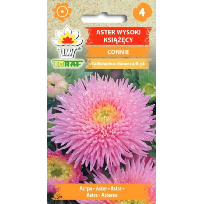 Asteres princešu Connie 1g