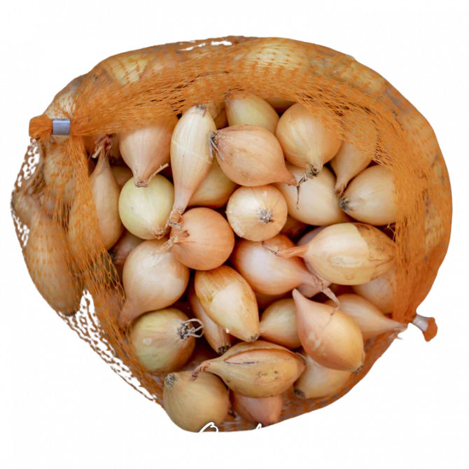 Sīksīpoli fasēti CORRADO 14-21mm 20kg/40pac (0.5kg/1pac)